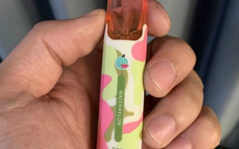 SONG崧鸭嘴兽西瓜口味评测：还原西瓜汁，不甜不腻