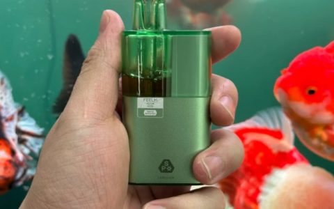 雪加大板砖