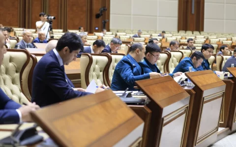 乌兹别克斯坦参议员