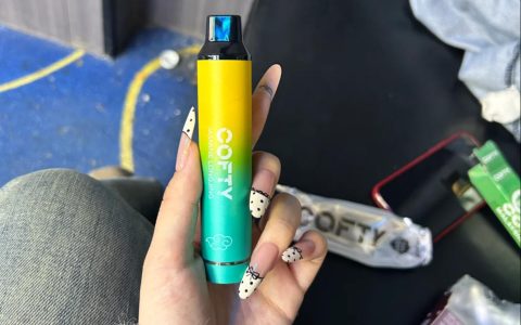 飞雾一代