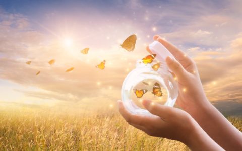 2025年的电子烟行业，正经历一场深刻的蜕变