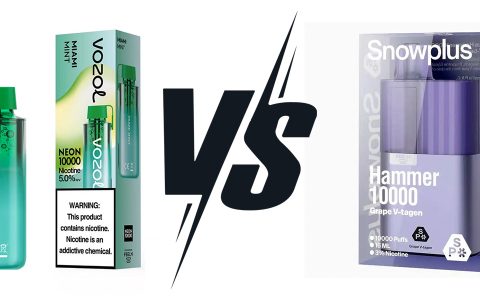 Ice冰爆 vs 雪加大板砖：六个维度全面对比分析
