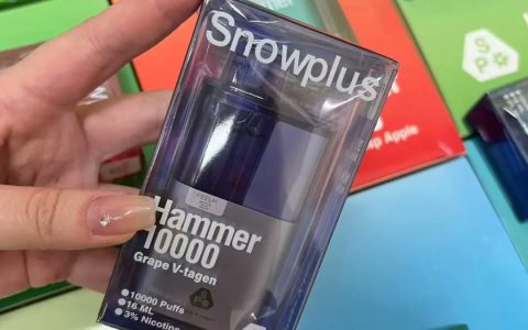 SnowPlus大板砖多少钱？价格介绍与性价比分析