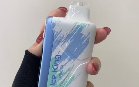 王嘉尔同款elfbar